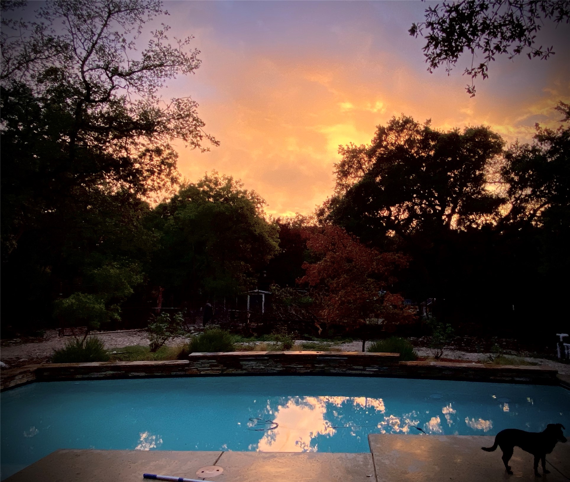 210 Amandas Way Leander, TX 78641 - Photo 34 of 38 Pool at dusk with an outdoor pool