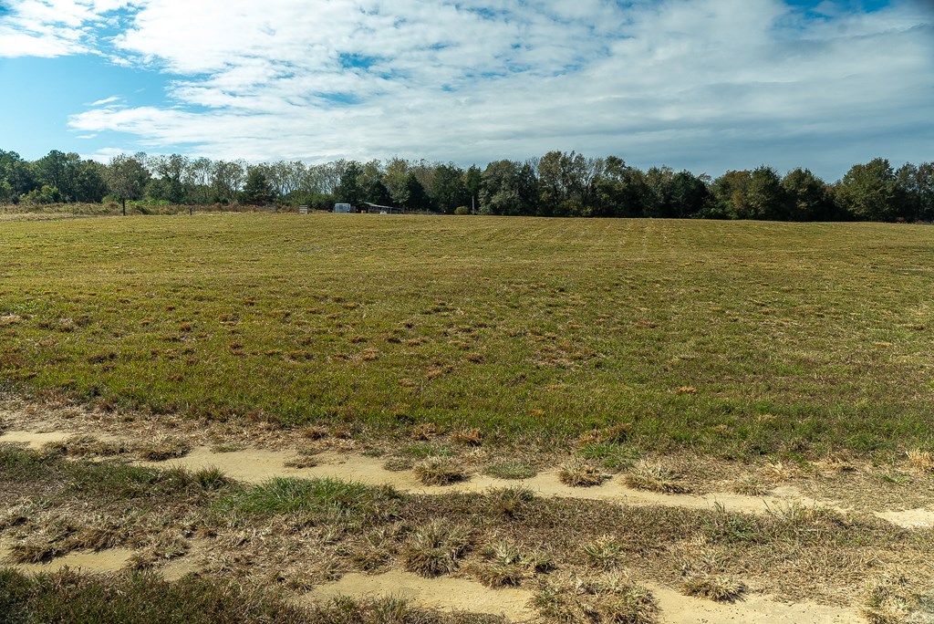 0 J B J B Jackson Road Webb, AL 36376 - Photo 21 of 38