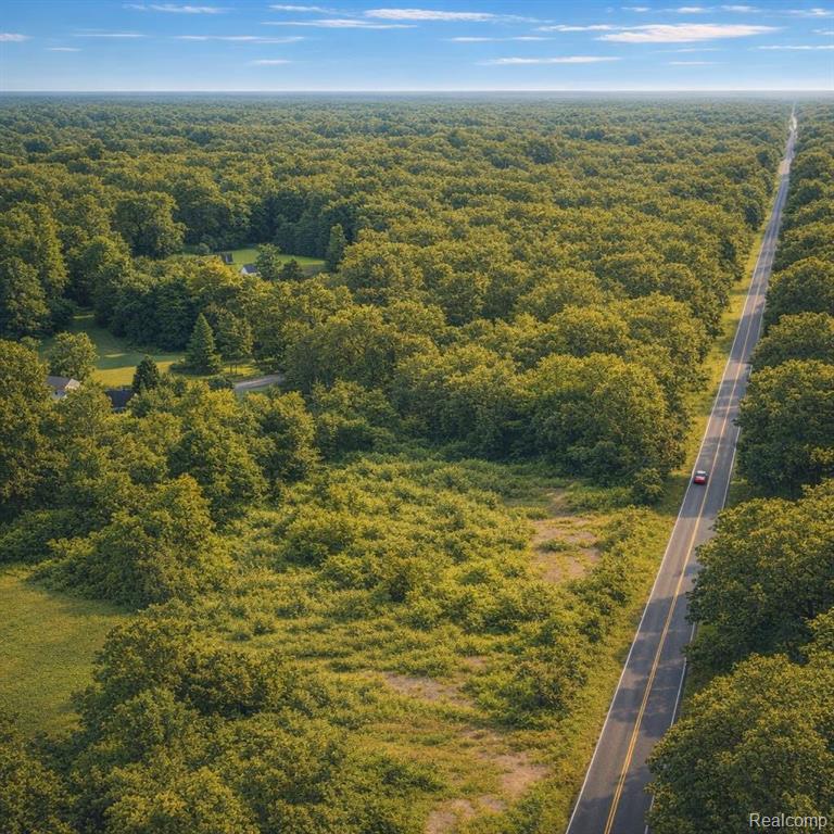 0 Gray Road Lapeer, MI 48446 - Photo 2 of 9