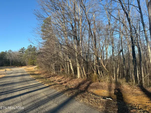 $95,000 | Bear Knob Lane, Crawford, TN 38554