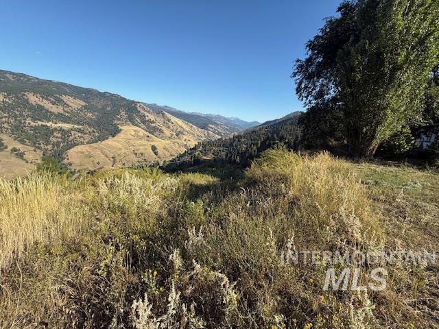 144 Chukar Road Pollock, ID 83547 - Photo 6 of 9