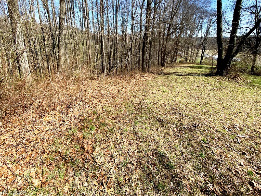 0 Township Road Coshocton, OH 43812 - Photo 7 of 24
