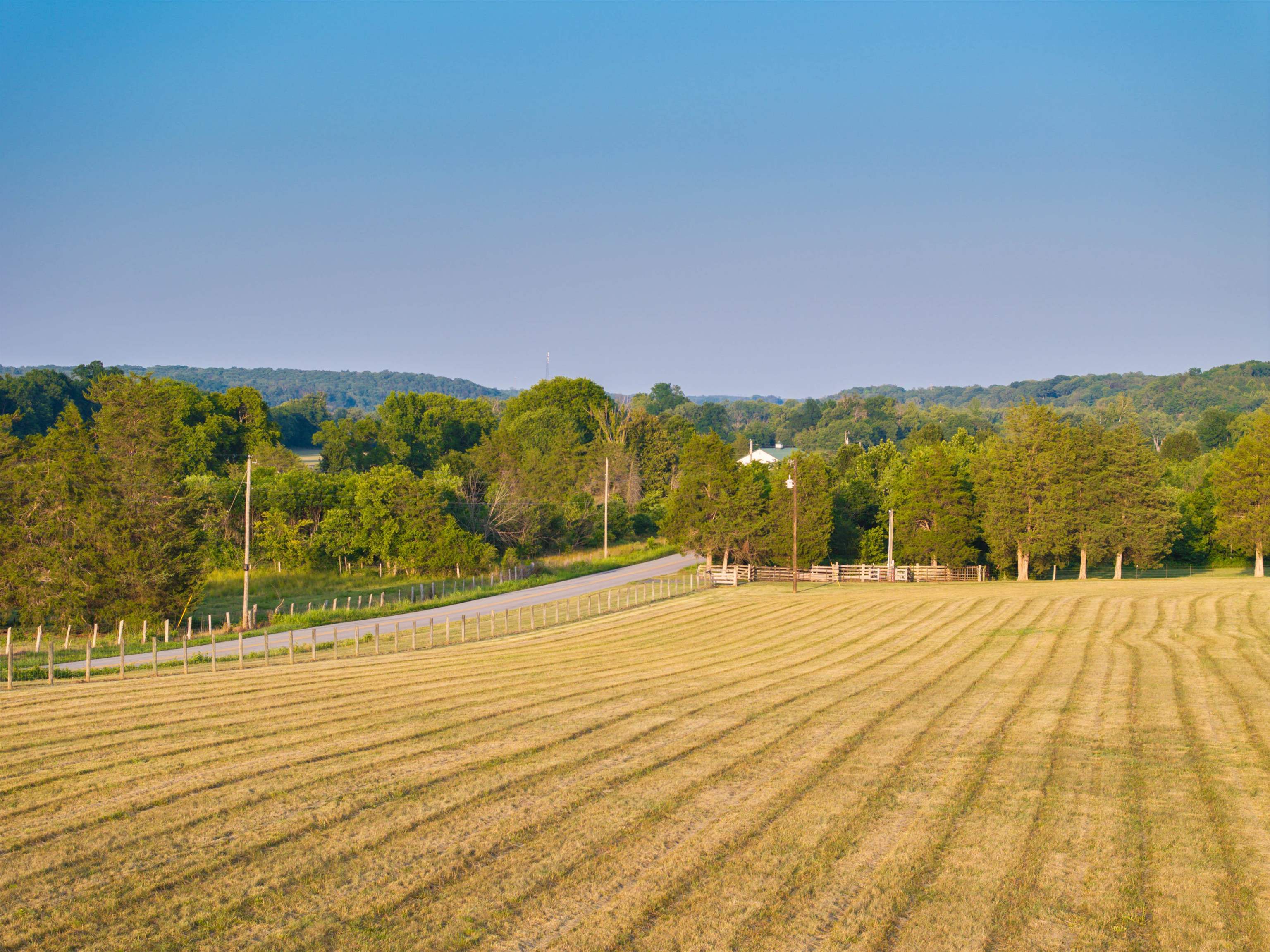 Tbd Tbd Bridgeport Road Arvonia, VA 23004 - Photo 9 of 60 Gallery Image 9