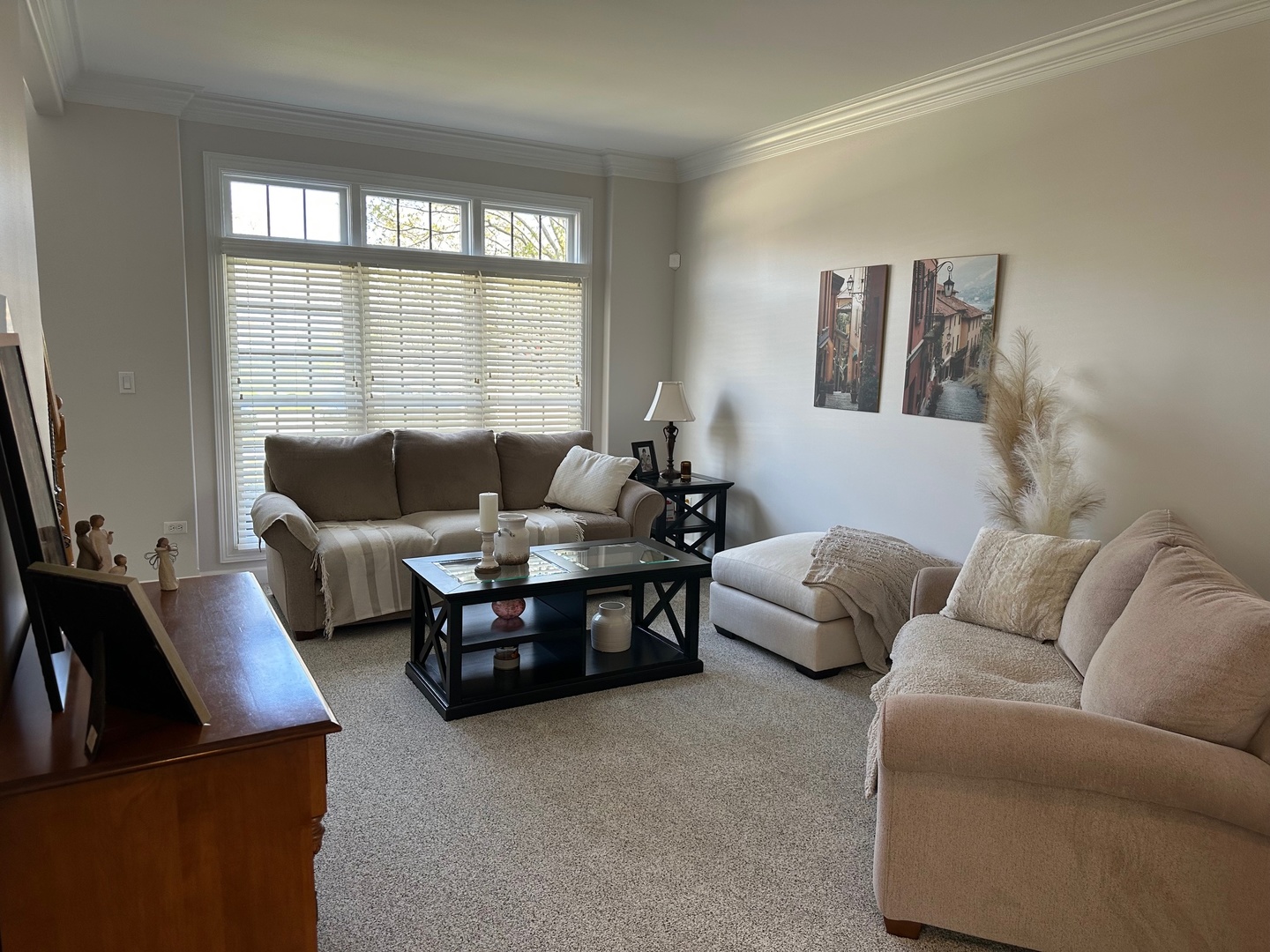 2212 Spartina Road Naperville, IL 60564 - Photo 9 of 17 a living room with furniture and a large window