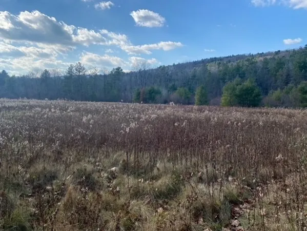 $315,000 | 0 East Alford Road, West Stockbridge, MA 01266