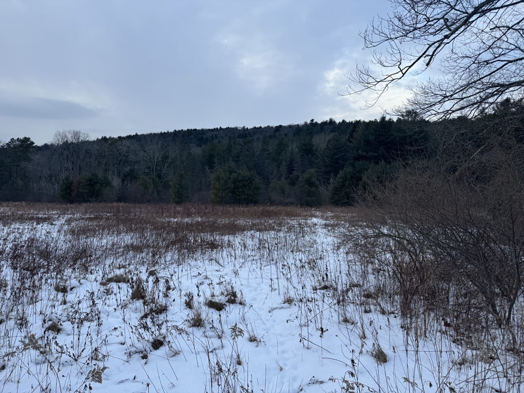 0 East Alford Road West Stockbridge, MA 01266 - Photo 4 of 5