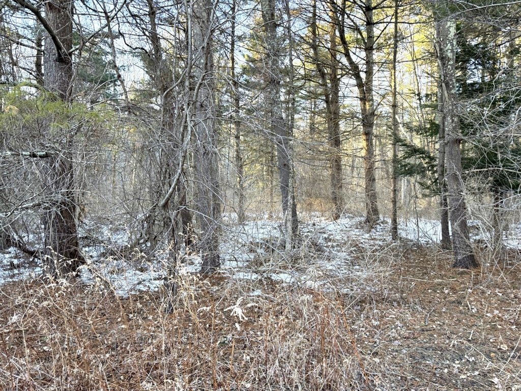 0 East Alford Road West Stockbridge, MA 01266 - Photo 5 of 5