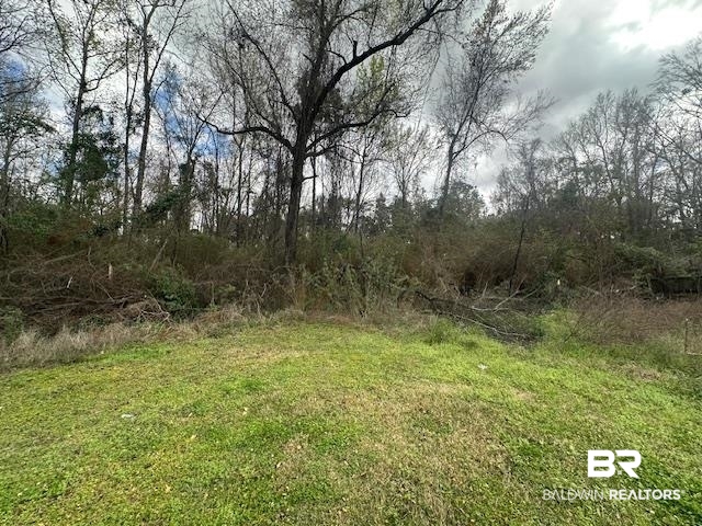 0 Jessie Road Daphne, AL 36527 - Photo 1 of 3 View of yard