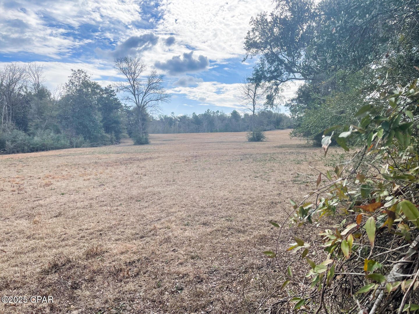 2025 Reedy Creek Road Alford, FL 32420 - Photo 20 of 41