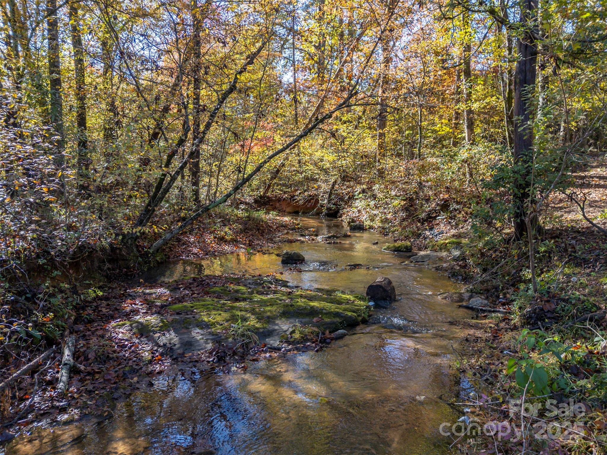 334 Bridge Road Ellenboro, NC 28040 - Photo 3 of 48 a view of outdoor space and a yard