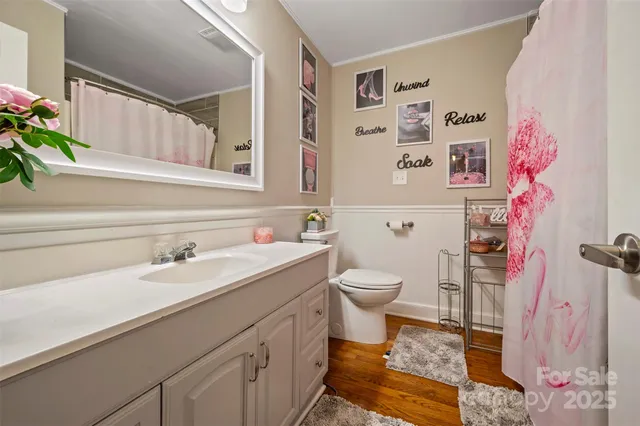 a bathroom with a sink toilet and vanity