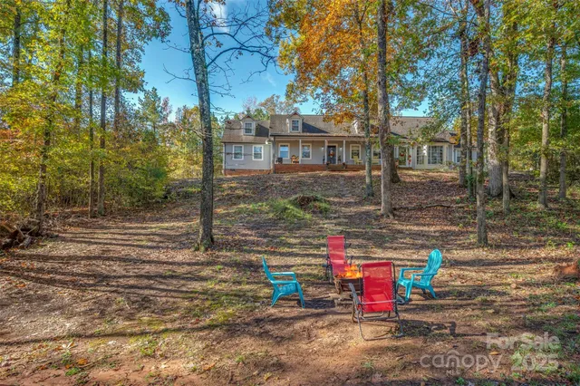 a view of road with large trees