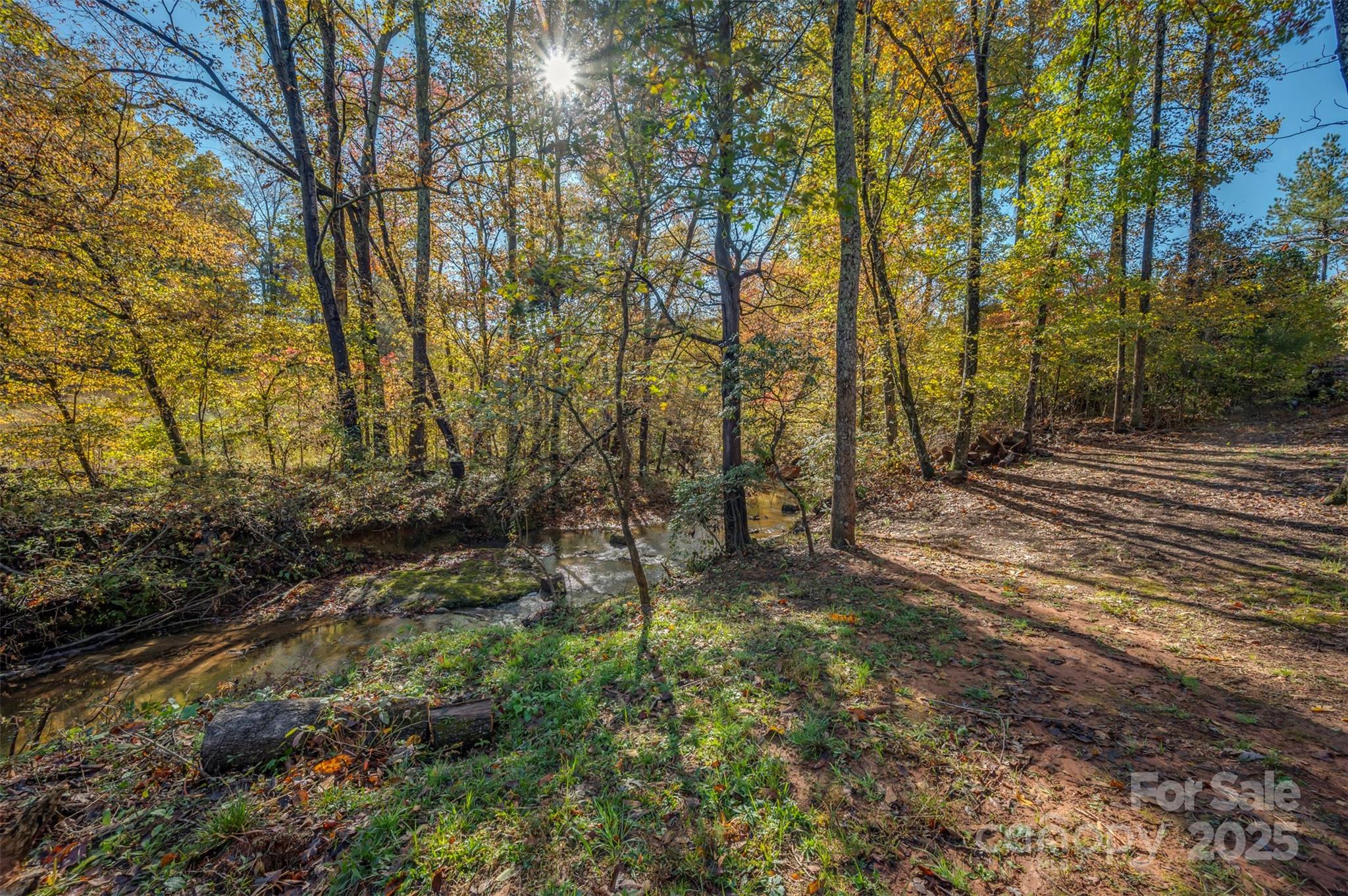 334 Bridge Road Ellenboro, NC 28040 - Photo 43 of 48 a backyard of a house with lots of green space