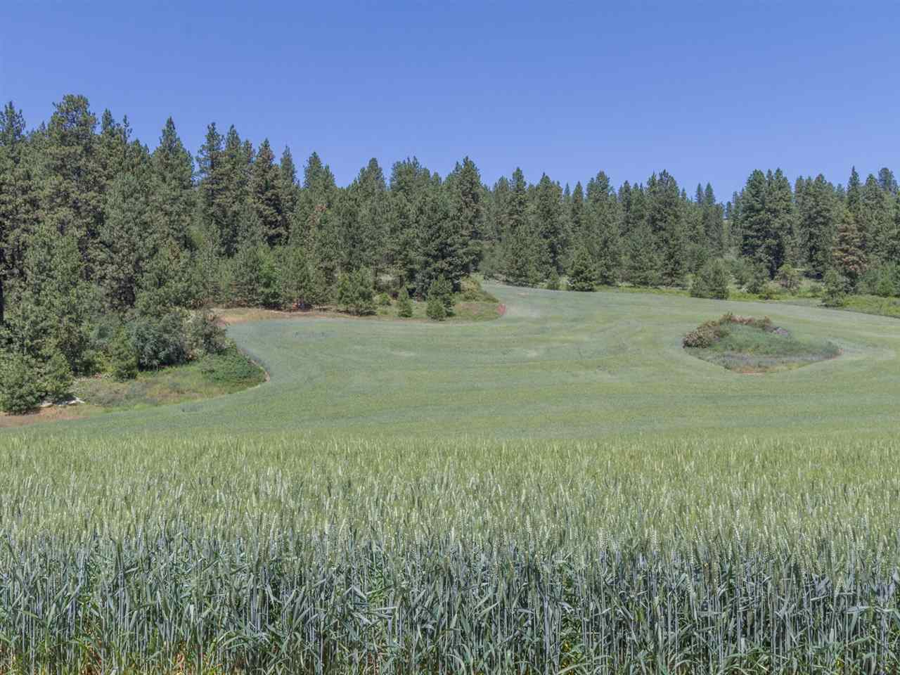7511 East Day Mt Spokane Road Mead, WA 99021 - Photo 18 of 20