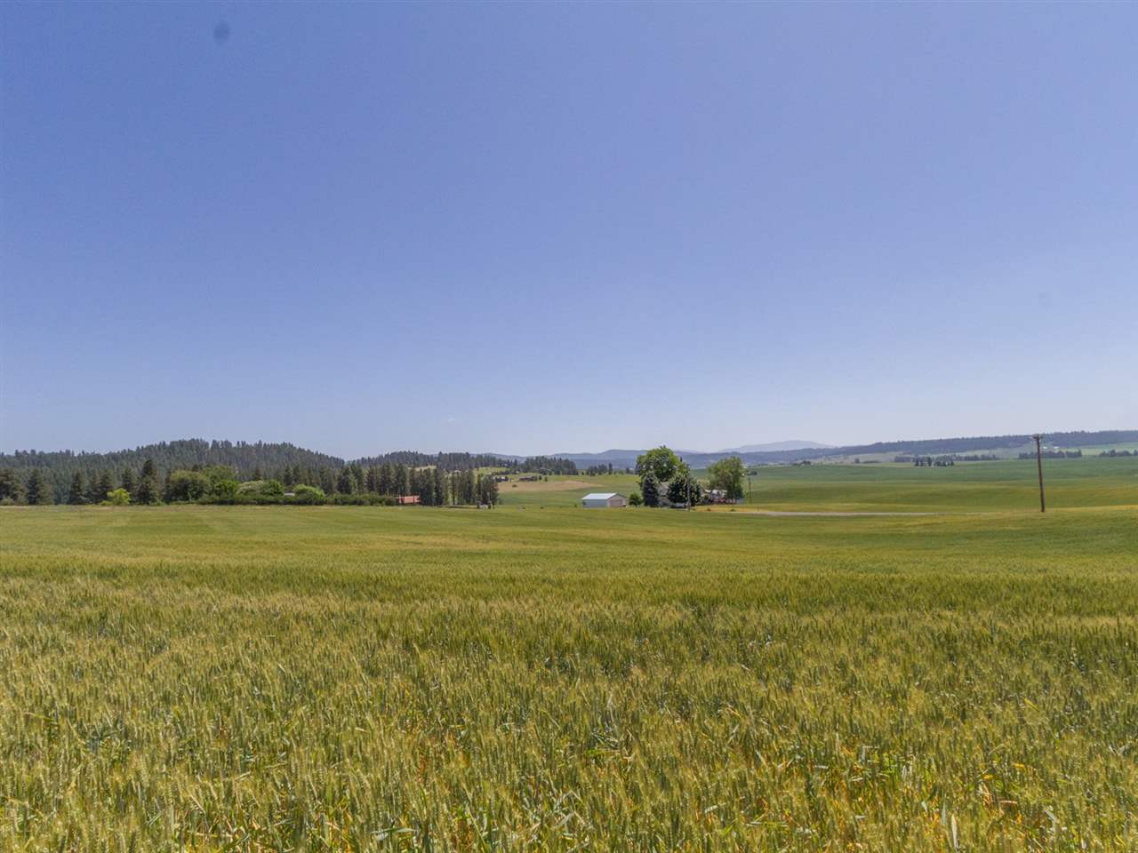 7511 East Day Mt Spokane Road Mead, WA 99021 - Photo 19 of 20