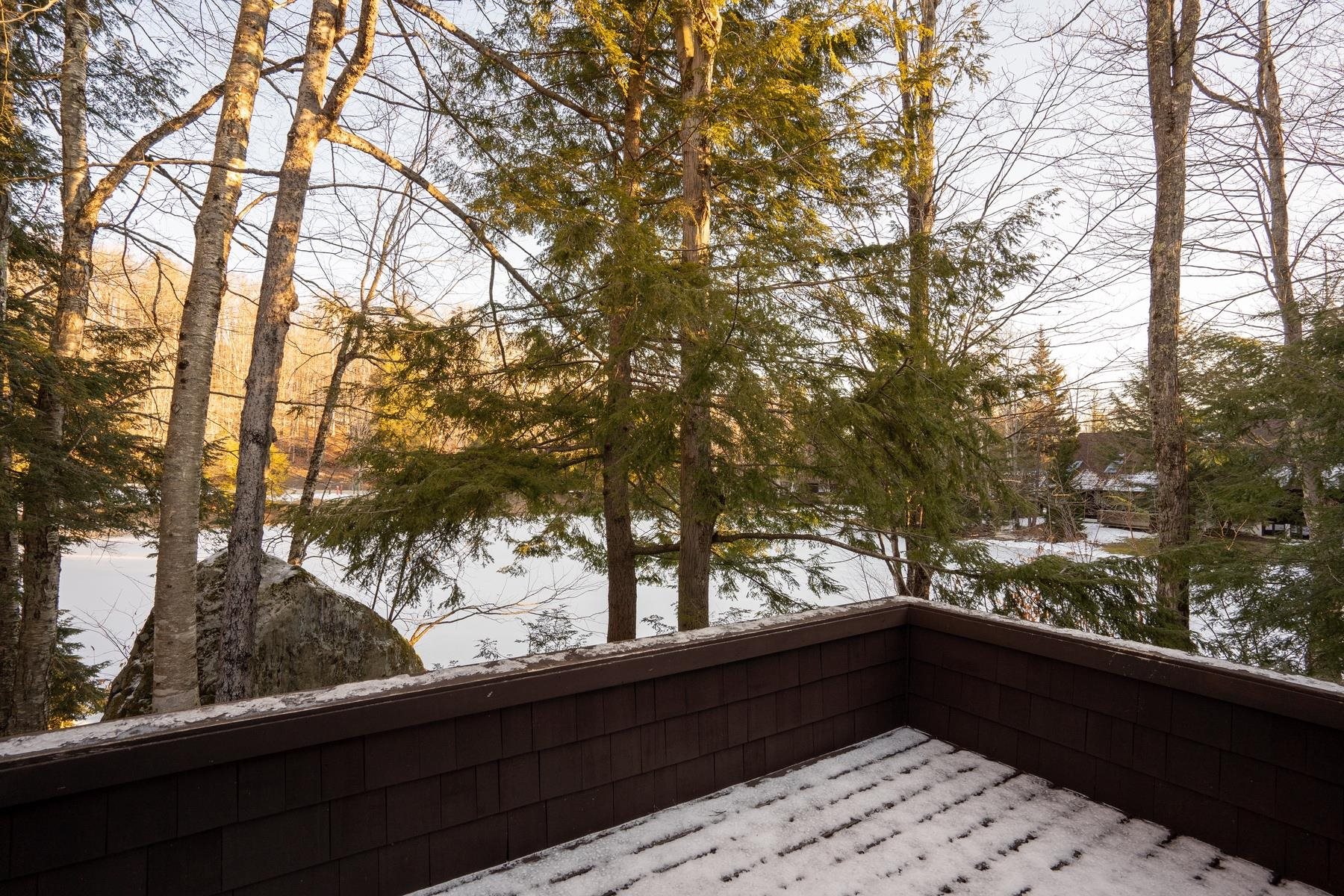 32 Nuthatch Road Winhall, VT 05340 - Photo 7 of 21