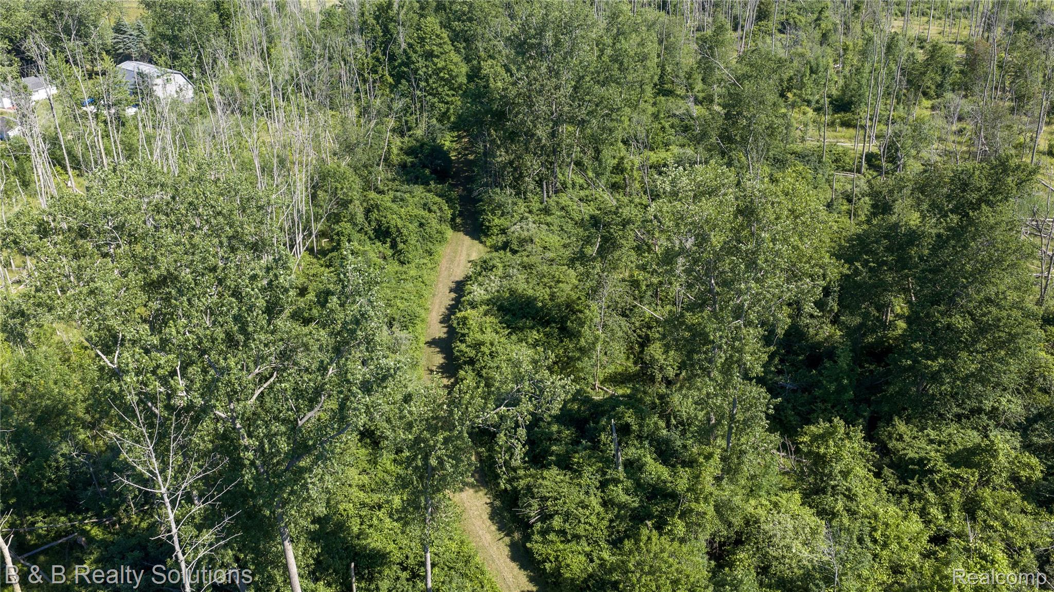 0 Elm Road Port Hope, MI 48468 - Photo 29 of 46 DJI_20260706164445_0482_D copy.jpg