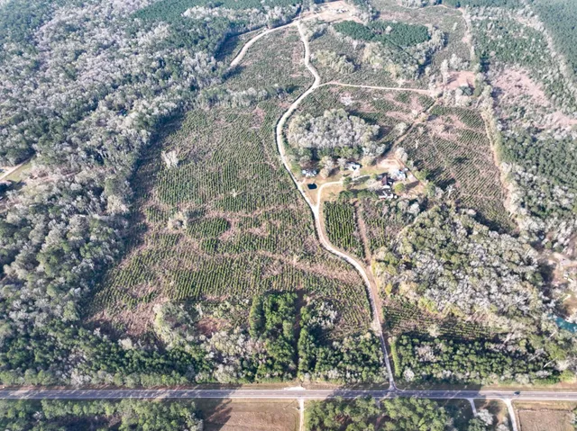 an aerial view of residential house with outdoor space