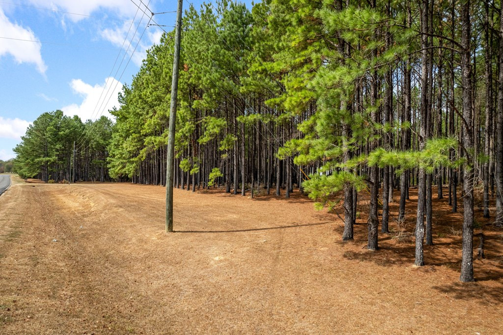 6631 Thompson Road Smithdale, MS 39664 - Photo 3 of 38 Photo 3