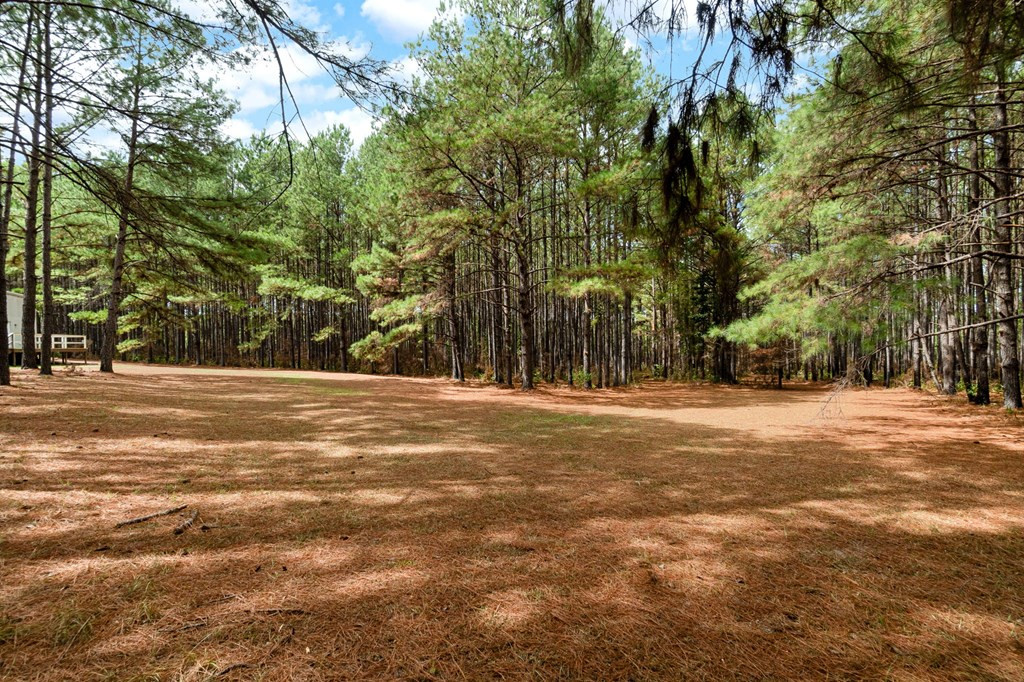 6631 Thompson Road Smithdale, MS 39664 - Photo 33 of 38 Photo 33