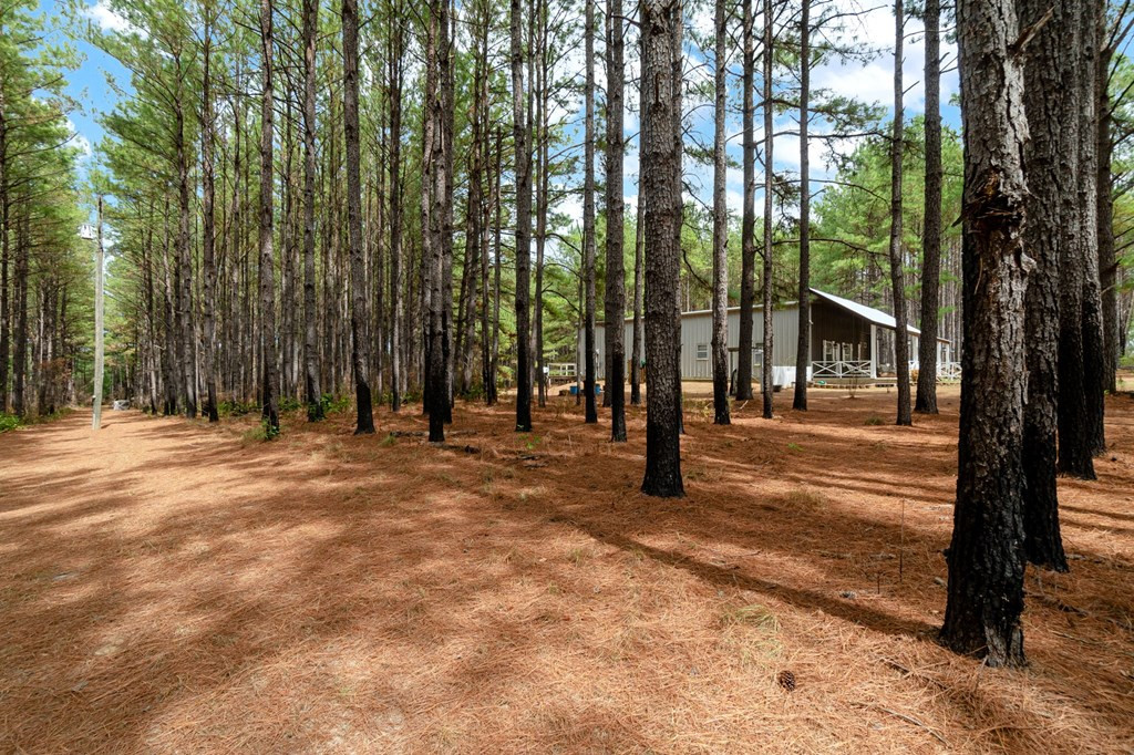 6631 Thompson Road Smithdale, MS 39664 - Photo 36 of 38 Photo 36