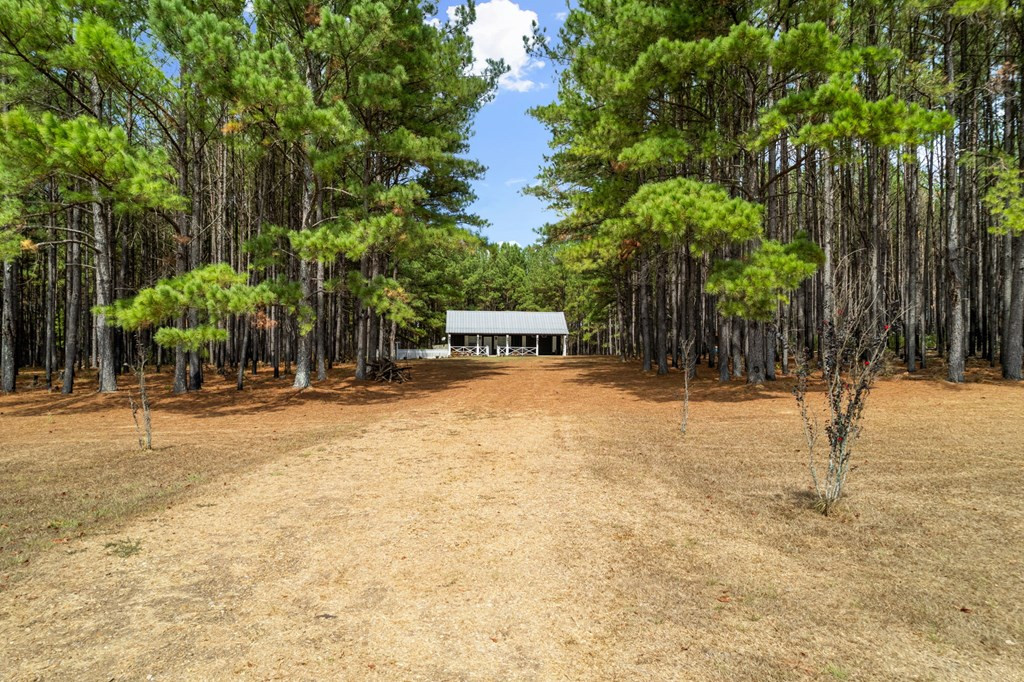 6631 Thompson Road Smithdale, MS 39664 - Photo 4 of 38 Photo 4