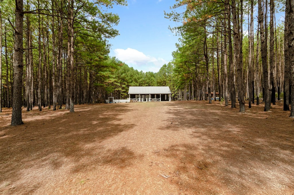 6631 Thompson Road Smithdale, MS 39664 - Photo 6 of 38 Photo 6