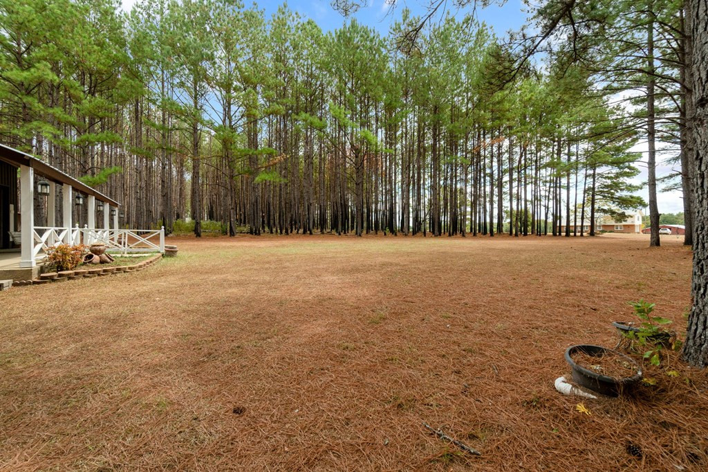 6631 Thompson Road Smithdale, MS 39664 - Photo 7 of 38 Photo 7
