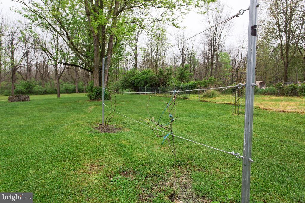 517 Springfield Road Shippensburg, PA 17257 - Photo 53 of 72 Gallery Image 53