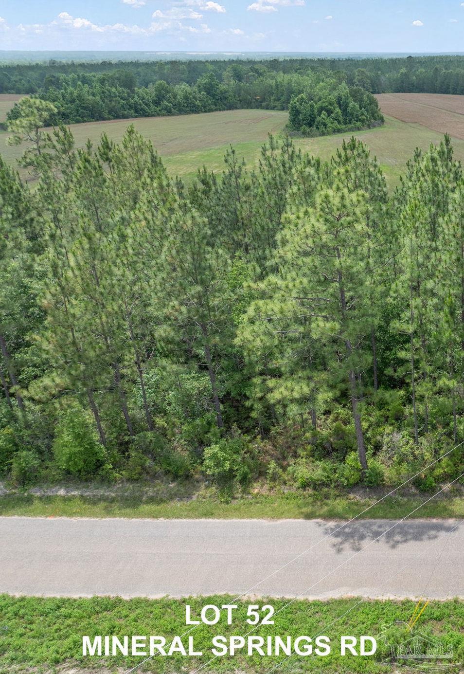 Lot 52 Mineral Springs Road Jay, FL 32565 - Photo 3 of 3