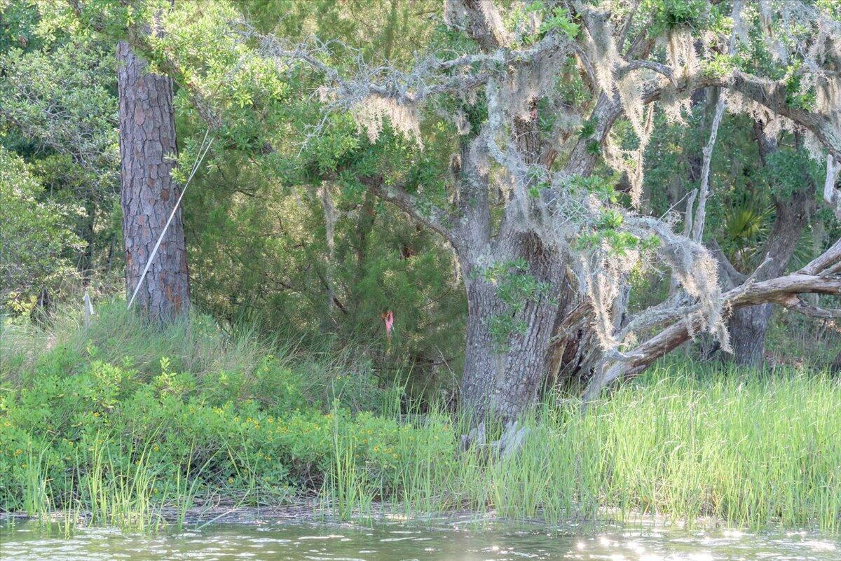 2278 Laurel Hill Road Edisto Island, SC 29438 - Photo 15 of 17 2278