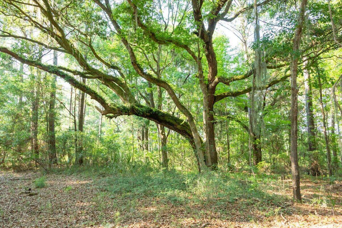 2278 Laurel Hill Road Edisto Island, SC 29438 - Photo 3 of 17 2278