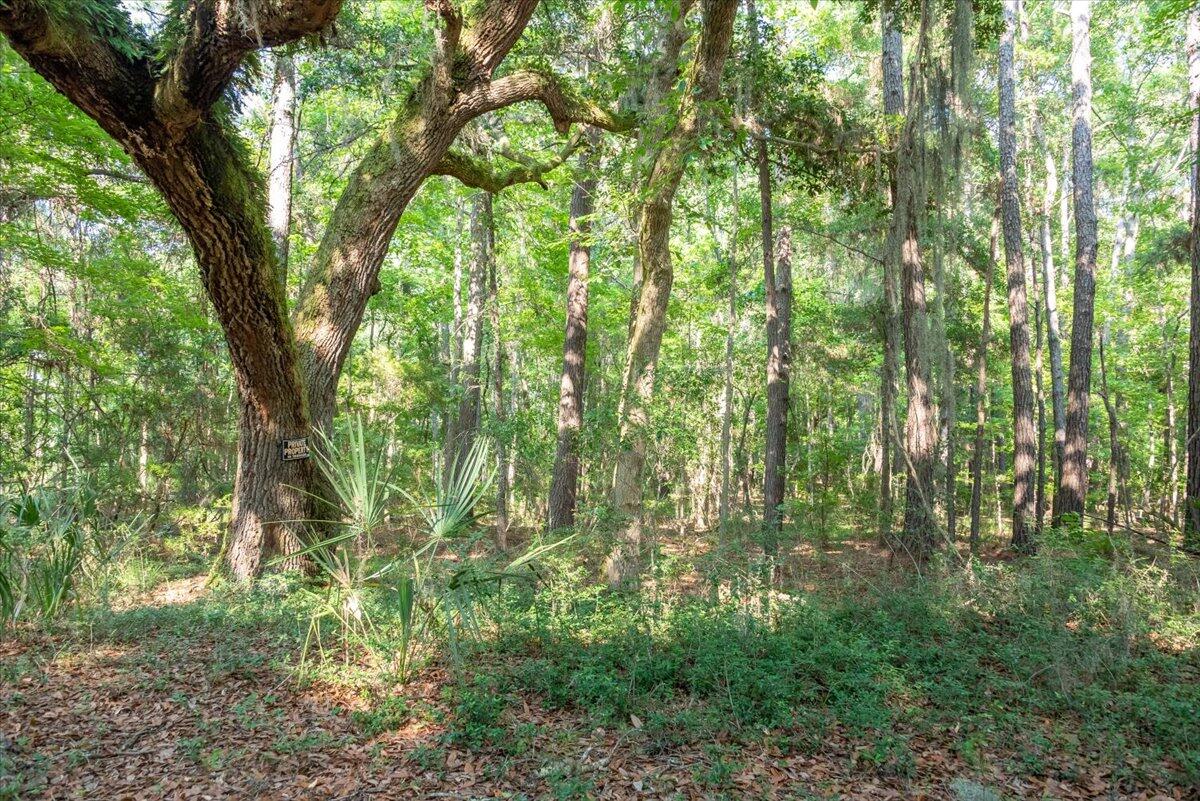 2278 Laurel Hill Road Edisto Island, SC 29438 - Photo 5 of 17 2278