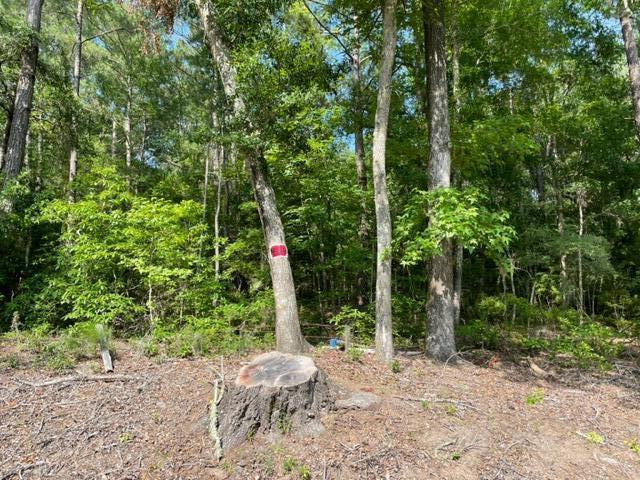 2278 Laurel Hill Road Edisto Island, SC 29438 - Photo 9 of 17 2278