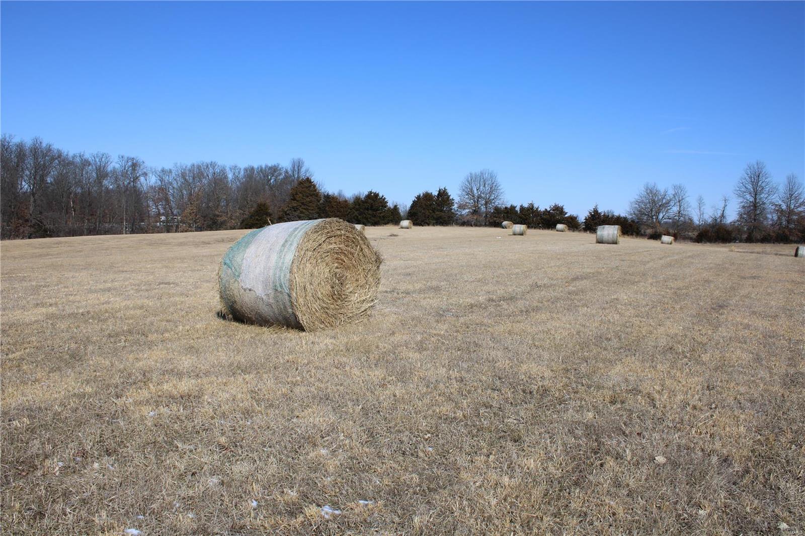 2 Highway 24 Madison, MO 65263 - Photo 2 of 4