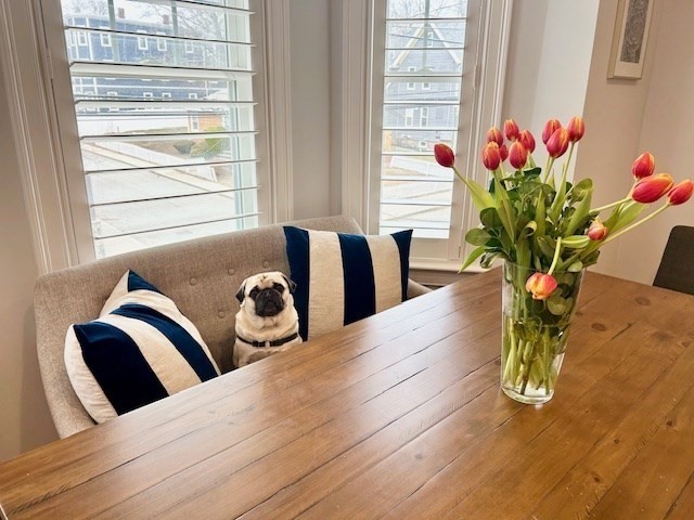 40 Catherine Street, Unit B Boston, MA 02131 - Photo 3 of 38