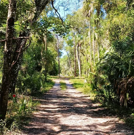 $119,000 | 9302 West Tall Pines Court, Crystal River, FL 34428