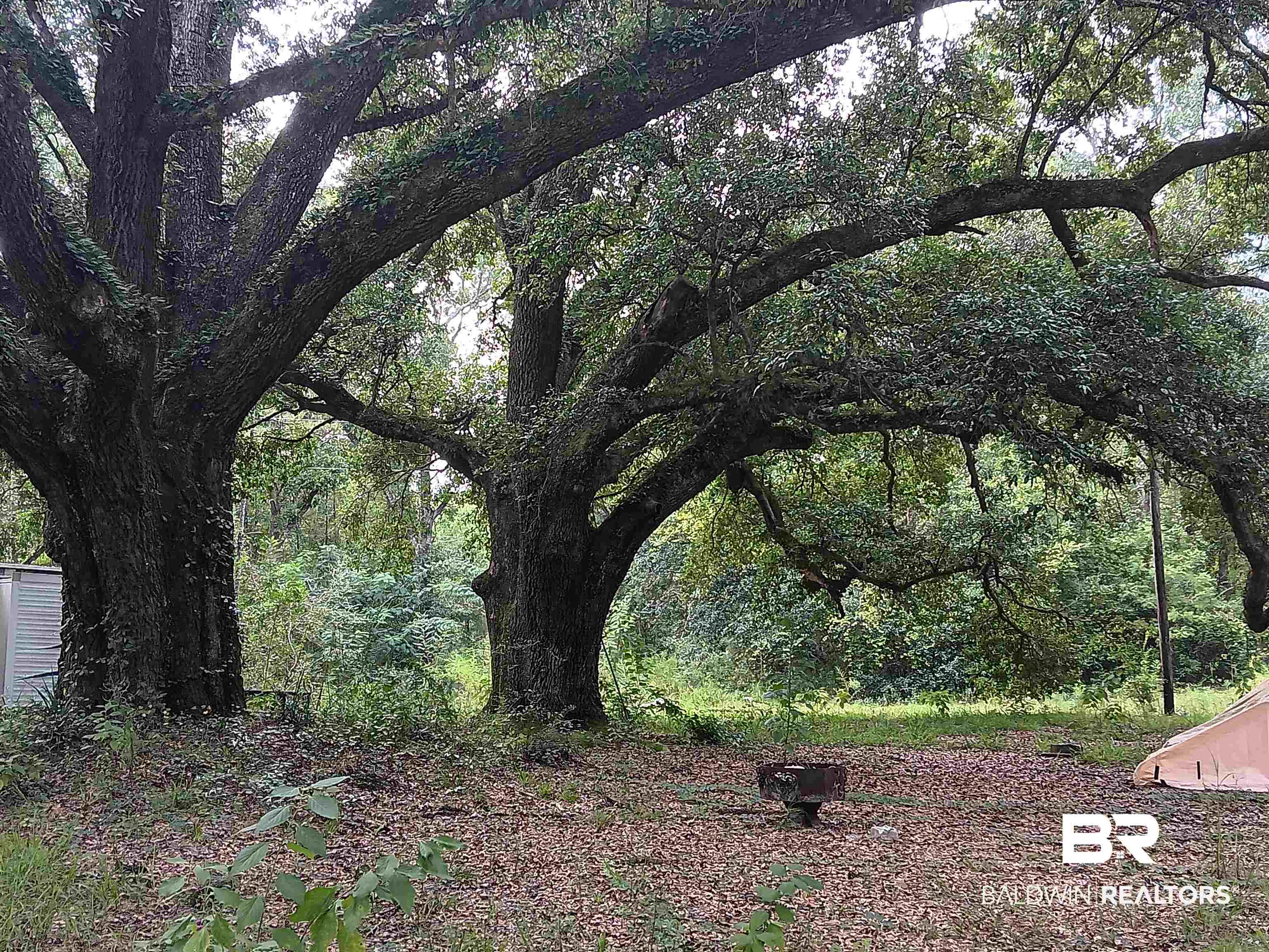 42311 Dixon Road South Bay Minette, AL 36507 - Photo 1 of 5 View of yard