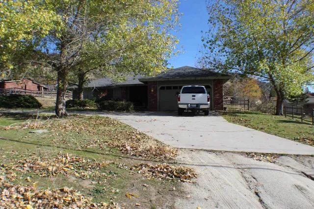 a view of street with large trees