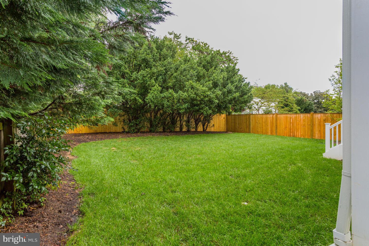 6231 Washington Boulevard Arlington, VA 22205 - Photo 30 of 30 Back Yard