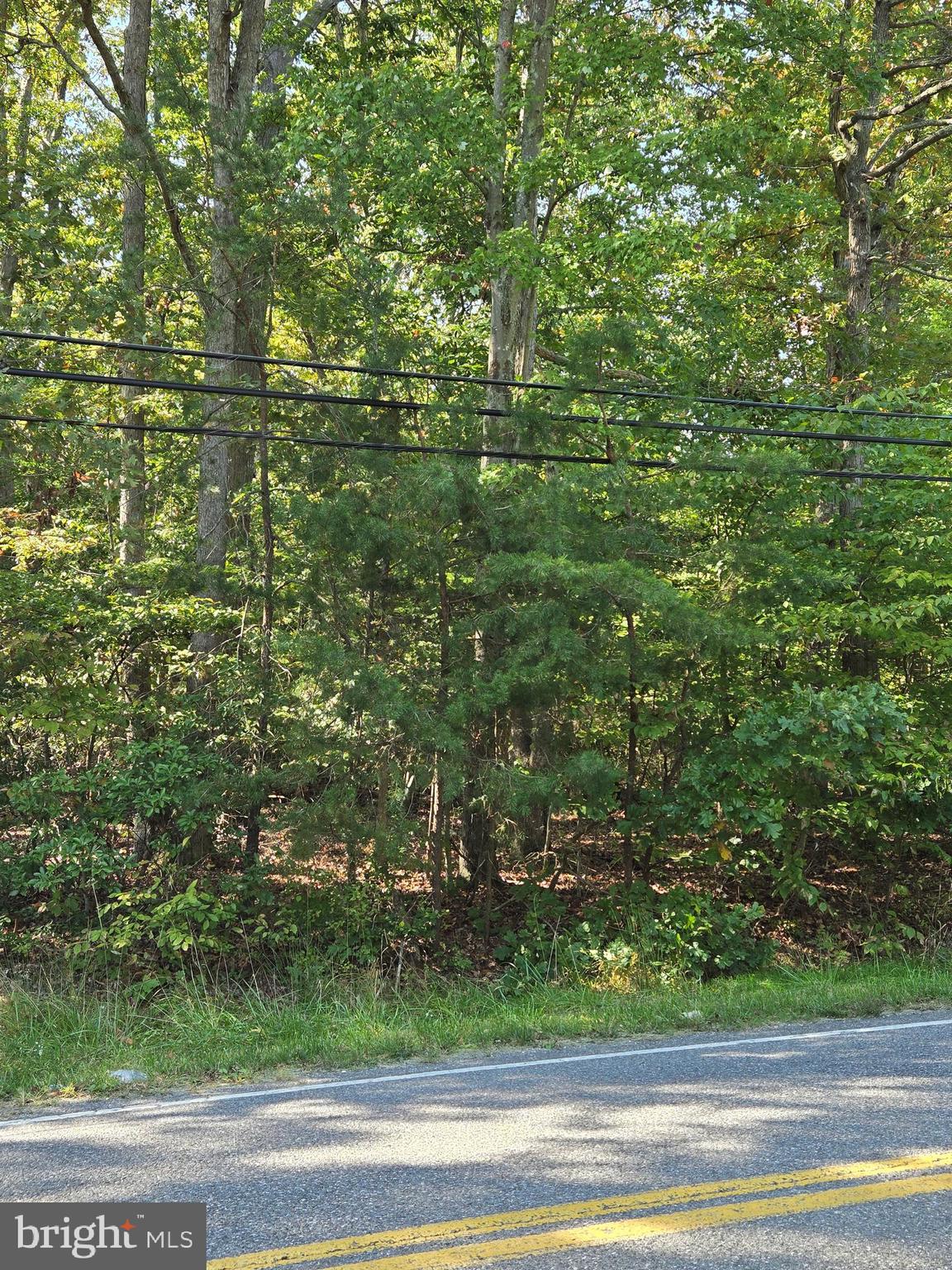 4101 Danville Road Brandywine, MD 20613 - Photo 2 of 4 Gallery Image 2