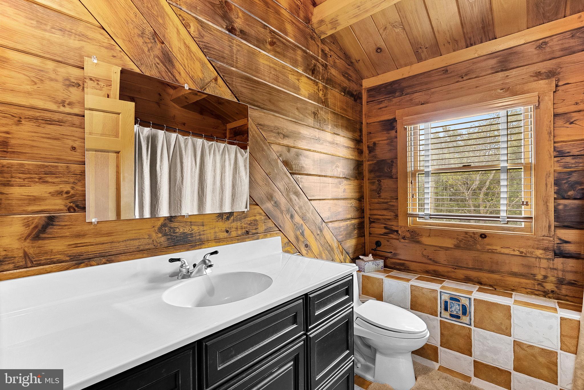 18837 Trinity Church Road Purcellville, VA 20132 - Photo 39 of 73 a bathroom with a sink and a toilet