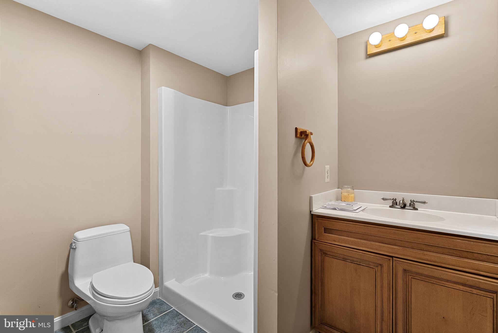 18837 Trinity Church Road Purcellville, VA 20132 - Photo 49 of 73 a bathroom with a sink a toilet and shower