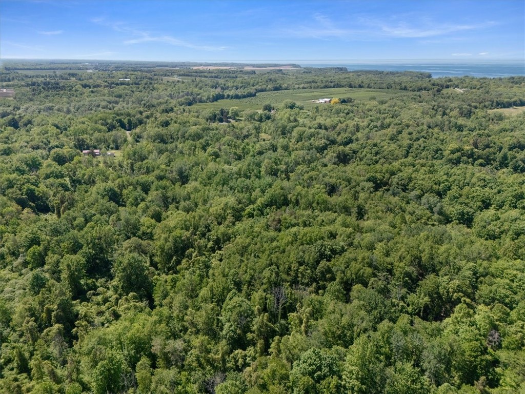 Geneva Road Sodus, NY 14551 - Photo 24 of 34