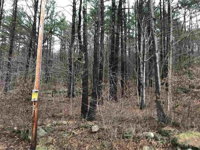 0 Chestnut Hill Road Cambridge, NY 12816 - Photo 2 of 3 Photo 2