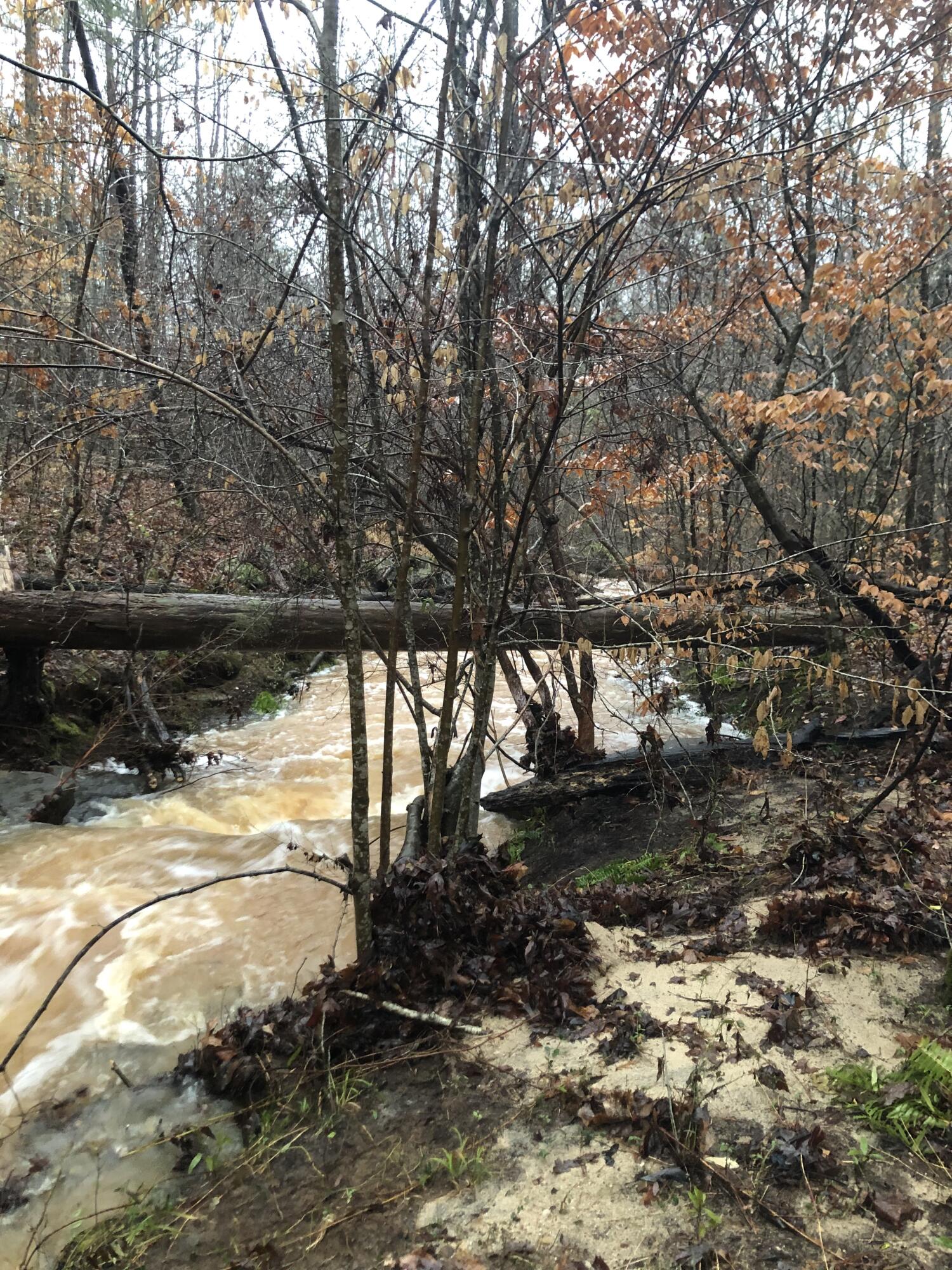 5111 Greensboro Road South Washington, GA 30673 - Photo 68 of 75 IMG_5244-preview