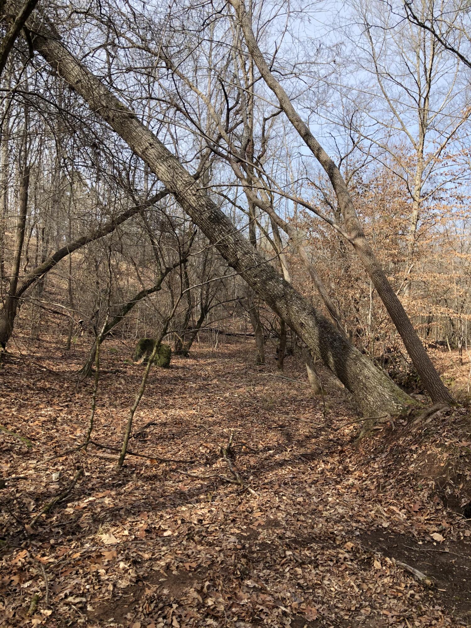 5111 Greensboro Road South Washington, GA 30673 - Photo 70 of 75 IMG_4941-preview