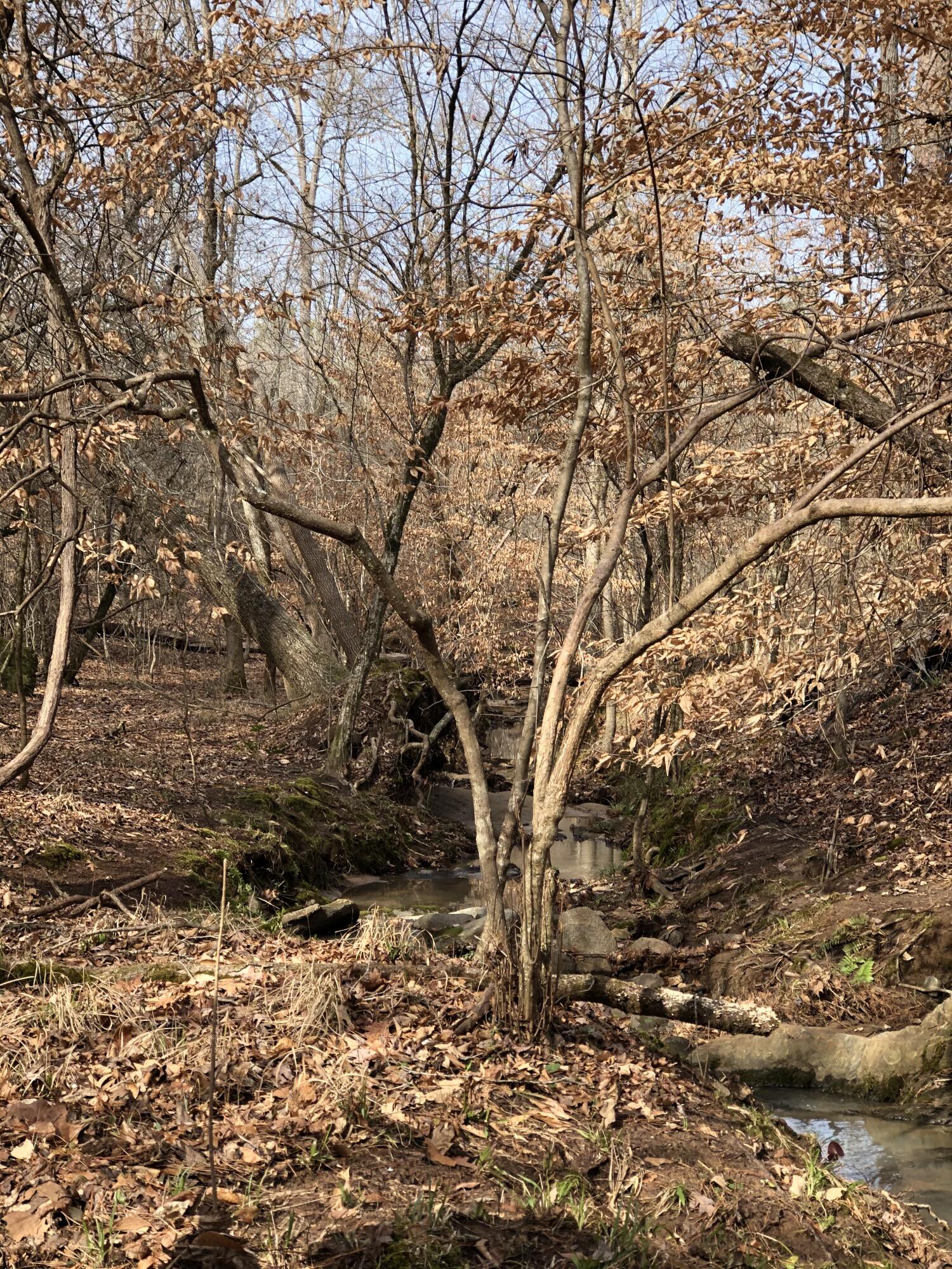 5111 Greensboro Road South Washington, GA 30673 - Photo 71 of 75 IMG_4940-preview