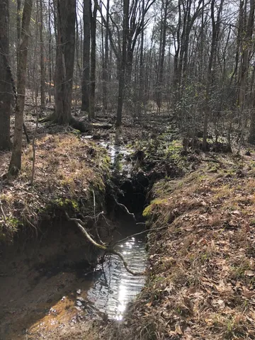 $1,099,000 | 5111 Greensboro Road South, Washington, GA 30673