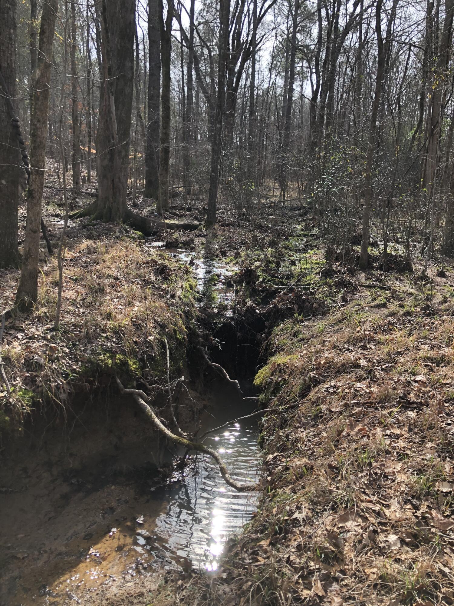 5111 Greensboro Road South Washington, GA 30673 - Photo 72 of 75 IMG_4936-preview